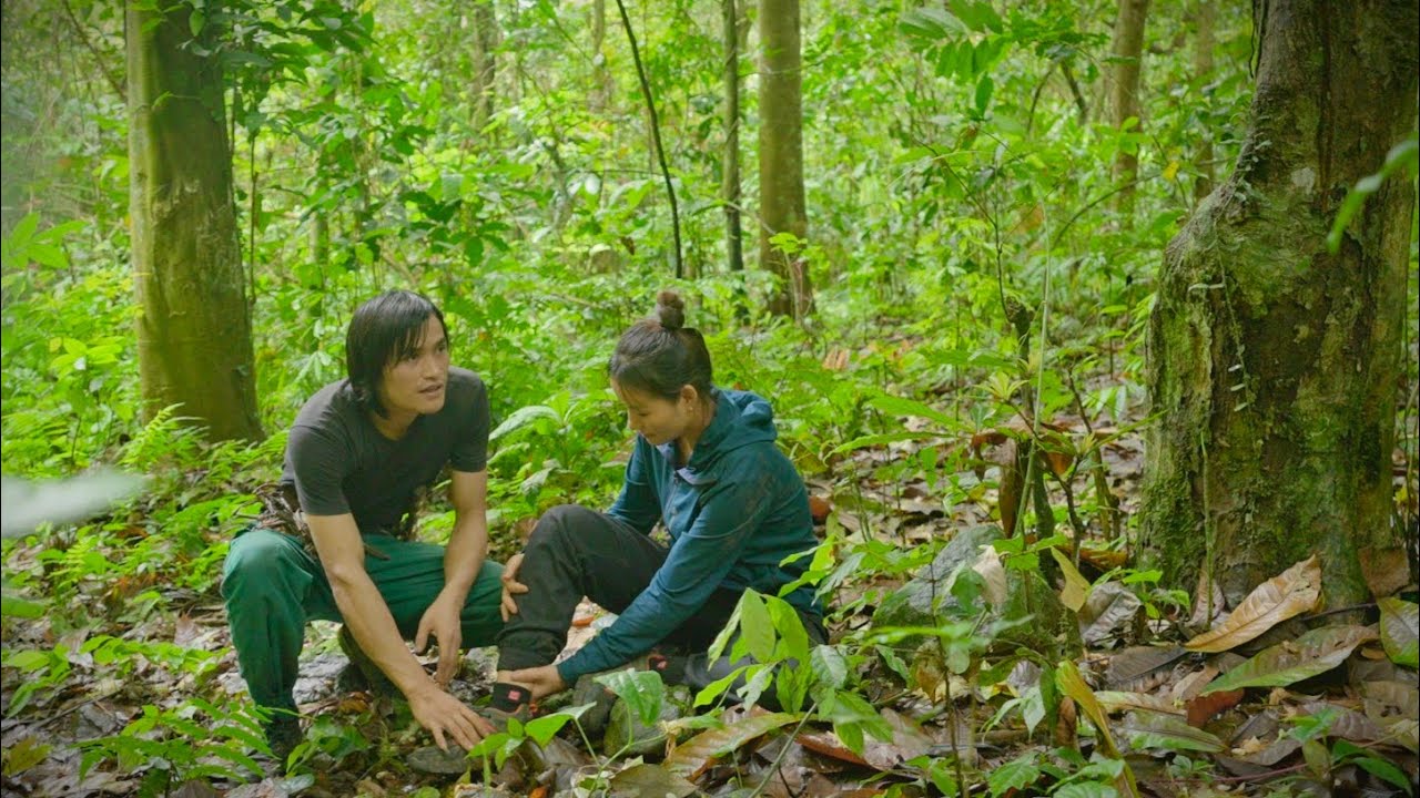 Surprise Encounter in the Forest: Warm Act of Kindness in the Deep Forest