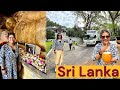    buddha   kandy city to dambulla   sri lanka ep2 travelvlog