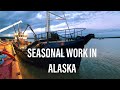 Find Jobs in Alaska- Seasonal Seafood Work- Silver Bay Seafoods in Bristol bay