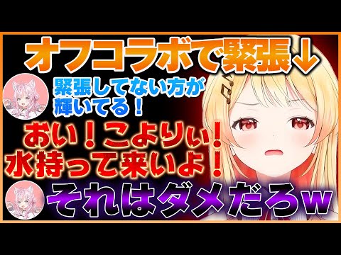 緊張がほぐれてこより先輩を雑に扱う奏ちゃんが面白いこよなでオフコラボまとめw【ホロライブ切り抜き/ReGLOSS/音乃瀬奏】 #ホロライブ #ホロライブ切り抜き #音乃瀬奏 #博衣こより