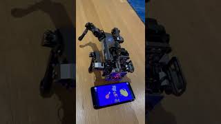 MicroBlocks and OctoStudio: easy tools to teach a complex robot dog new tricks!