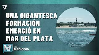 DID AN ISLAND EMERGE | A giant formation appeared in Mar del Plata