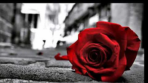 There were roses//Rachel Mccullough cover