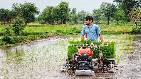 Rice transplanter | Kubota brand new walk after transplanter |mini walk behind transplanter | KW4