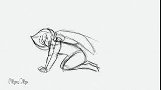 Wings Animation Test