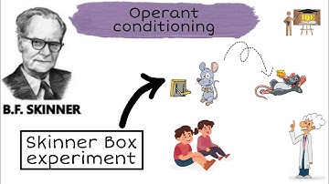 Operant conditioning theory in odia। Skinner Box experiment #bedentrance#otet #osstet #ctetpaper2
