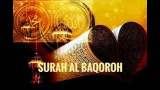 SURAH AL BAQOROH AL HAFIZ ISTIHSAN ARIF AL FUDHAILY