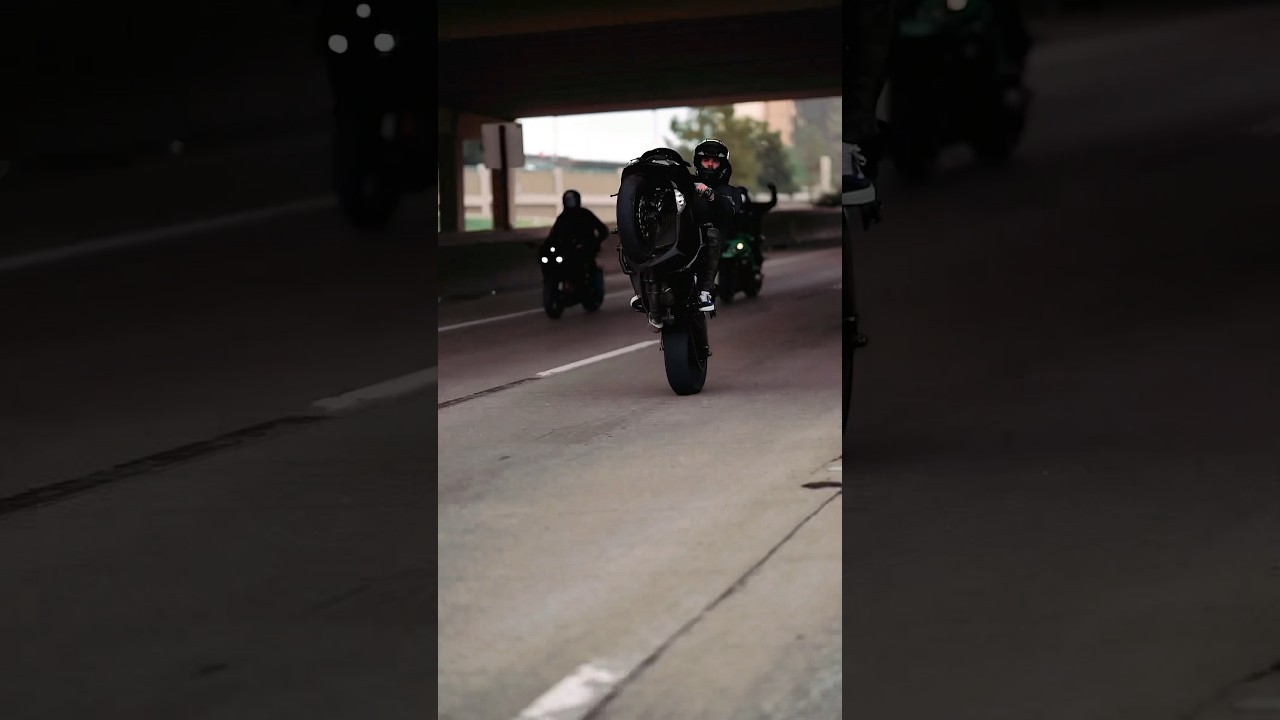 Zx6r highway wheelies 😍