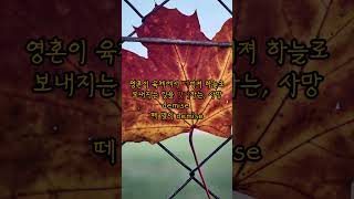서당식 거북이 영어 day 55 mis