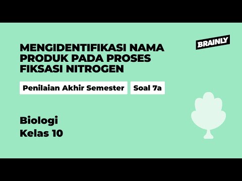 Video: Apakah produk dalam biologi?