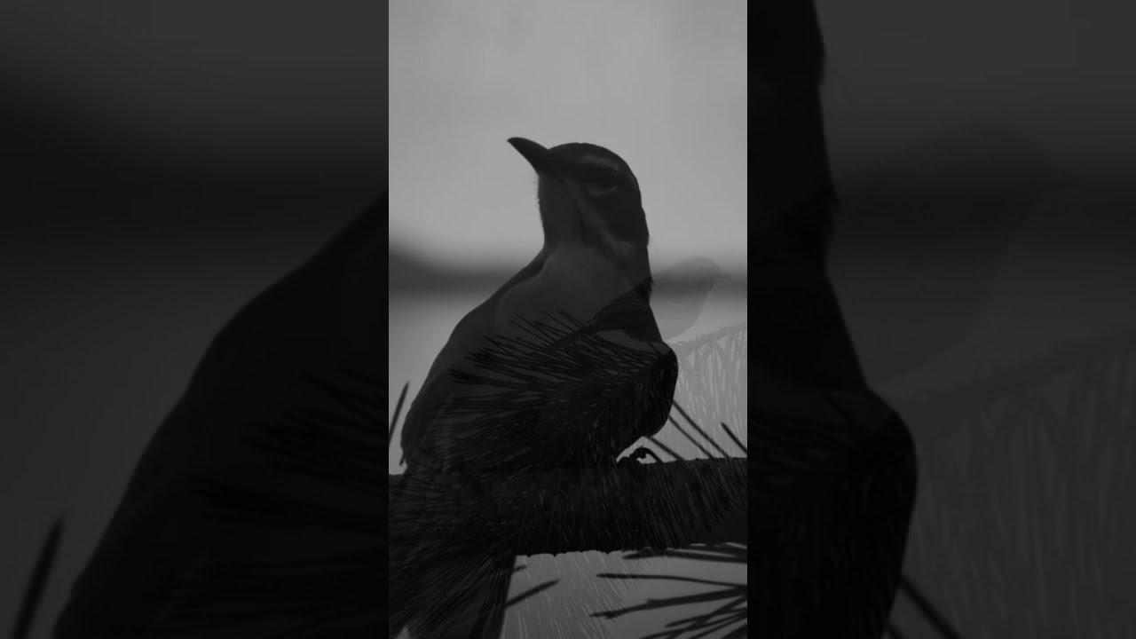 Falling by audiodefectwave — Ambient, IDM, Dream Pop