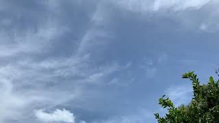 Cloud Creatures