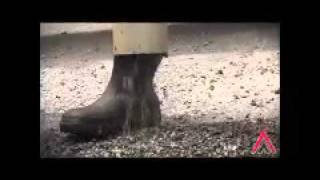 The Dialdirect Pothole Brigade