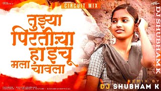 Tuzya Priticha Ha Vinchu Mala Chawla (Circuit Mix) DJ Shubham K | Fandry |tuzya pirticha ha inchu dj