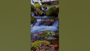 سعد الغامدي سورة البينة