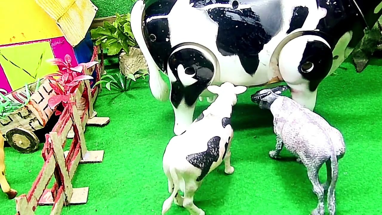 Crazy Cow Crashes into Sheep! 🐏💥🐄