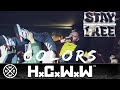 STAY FREE - COLORS - HARDCORE WORLDWIDE (OFFICIAL D.I.Y. VERSION HCWW)