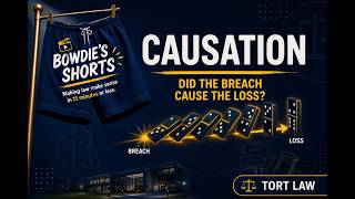 Bowdie s Shorts   Tort   Causation