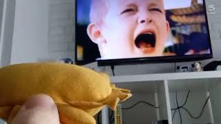 Henrys Cat The Zazoo Condoms Part 1