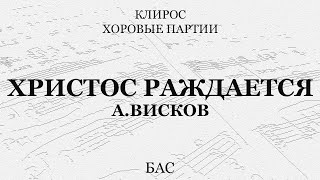 Христос Раждается. А.висков. Бас