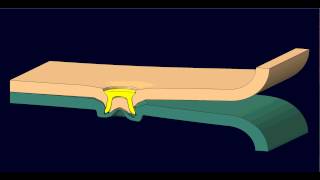 Peel test (Solid-Sheets/Solid-Rivet Animation)