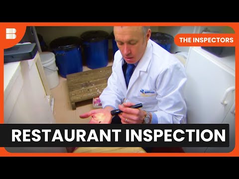 Restaurant Inspection Reveals Horrors The Inspectors S03 EP01 Reality TV