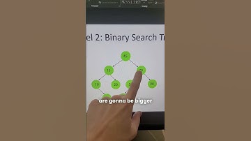 3 niveaus van binaire bomen: binaire boom, BST, AVL-boom