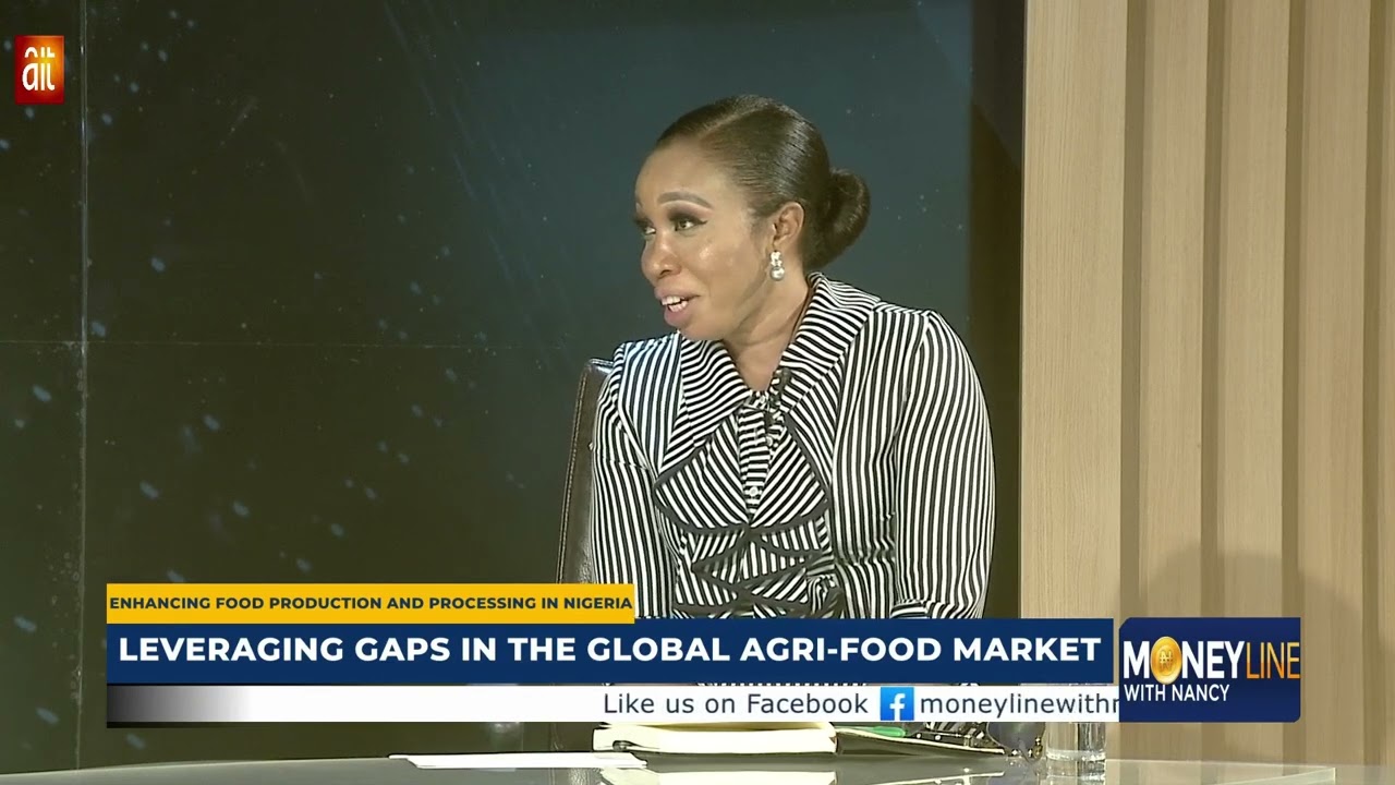 MONEYLINEWITHNANCY: ENHANCING FOOD PRODUCTION AND PROCESSING IN NIGERIA
