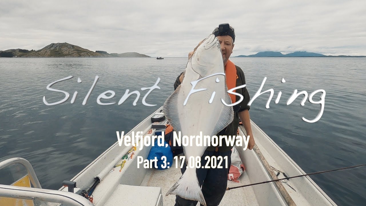 Velfjord, Nordnorway_Part 3: 17.08.2021