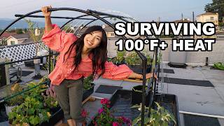 Can My Rooftop Garden Survive 100 Degree Heat? | Rooftop Series Ep 5
