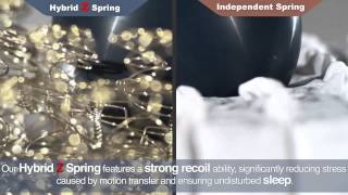 ACE BED Hybrid Z Spring