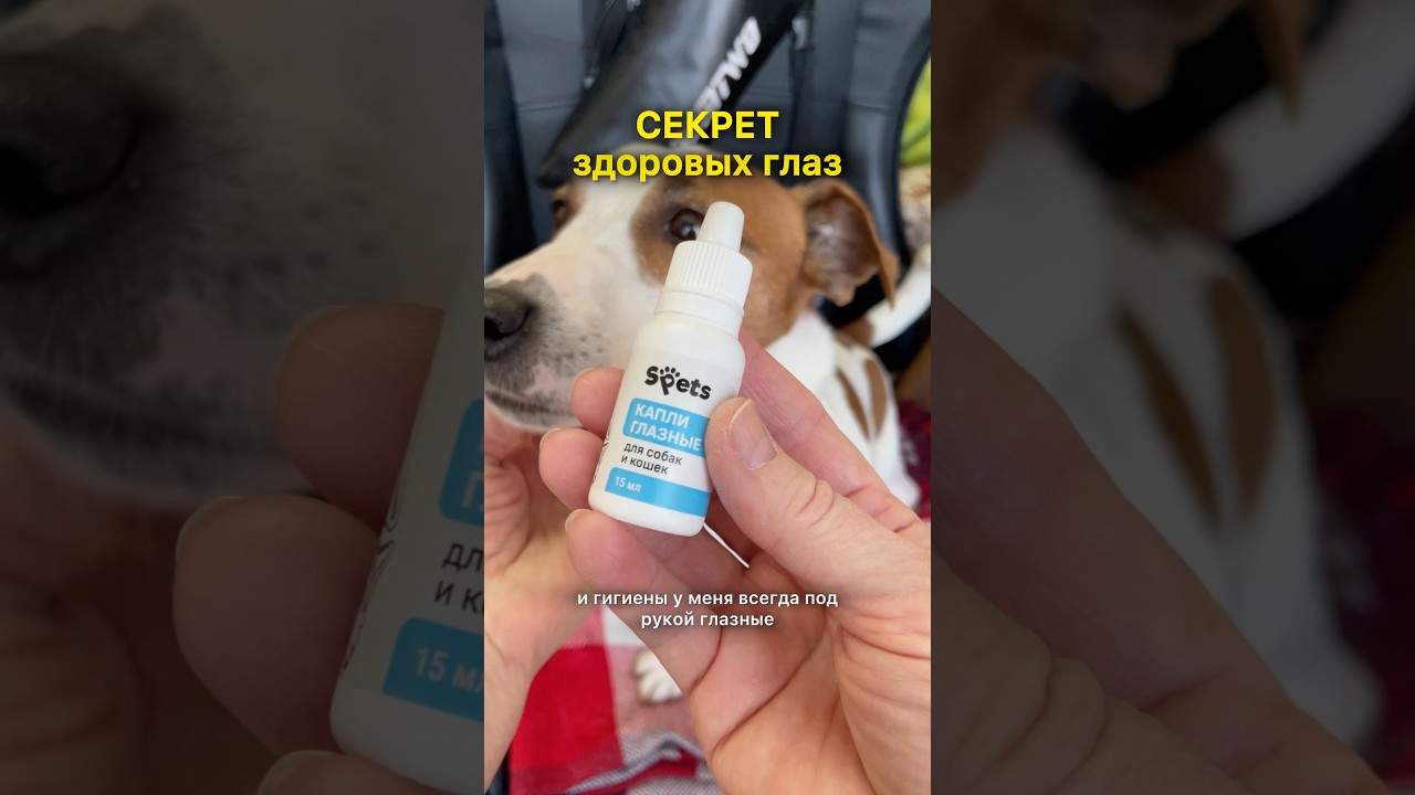 Всегда под рукой: 