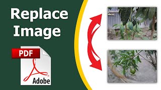 How to replace Images in a PDF File using adobe acrobat pro dc