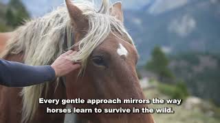 7 INSANE Horse Evolution Secrets You Won't Believe! [Unlock True Partnership]