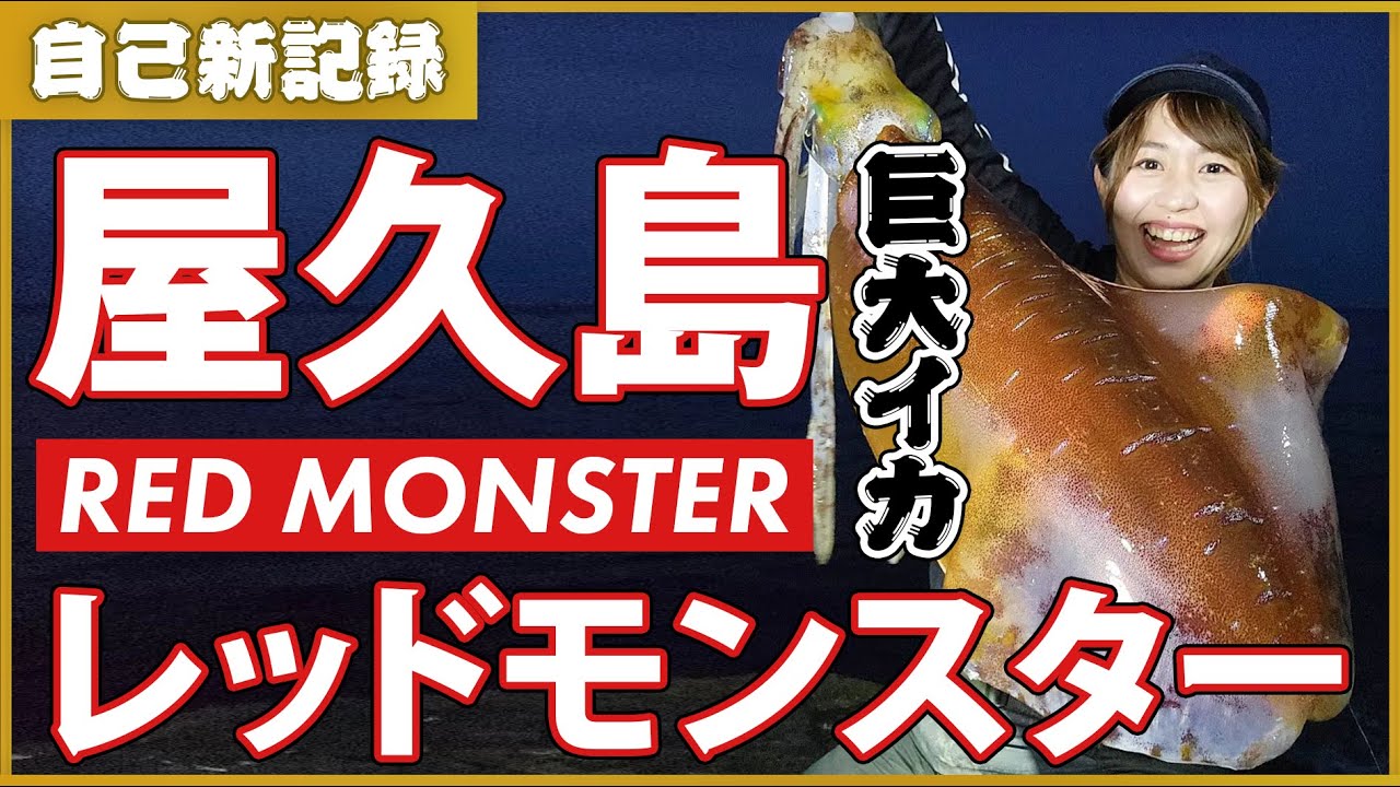 屋久島で巨大アオリイカ「レッドモンスター」を釣る、自己新記録の一杯