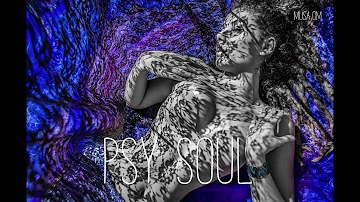 PSY Soul / Musa OM/ House music 2017