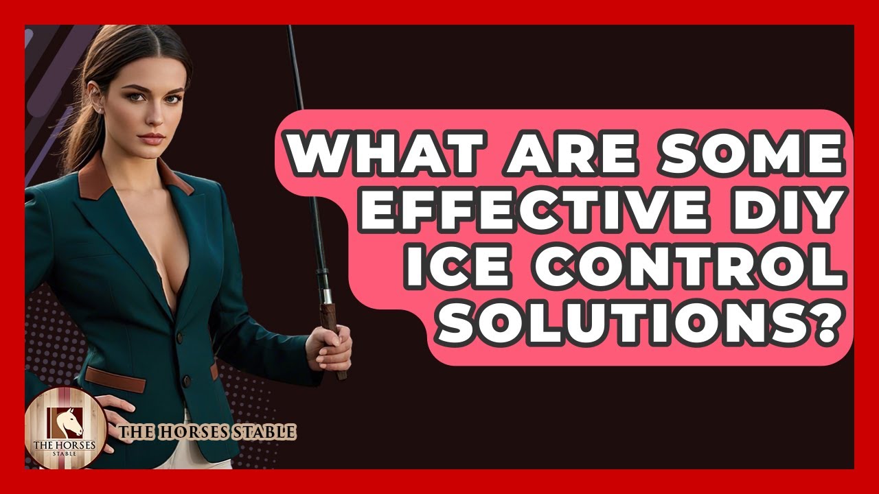 What Are Some Effective DIY Ice Control Solutions? - The Horses Stable