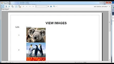 C# Copy image to Database After View  Picturebox and crystalreports  Part II