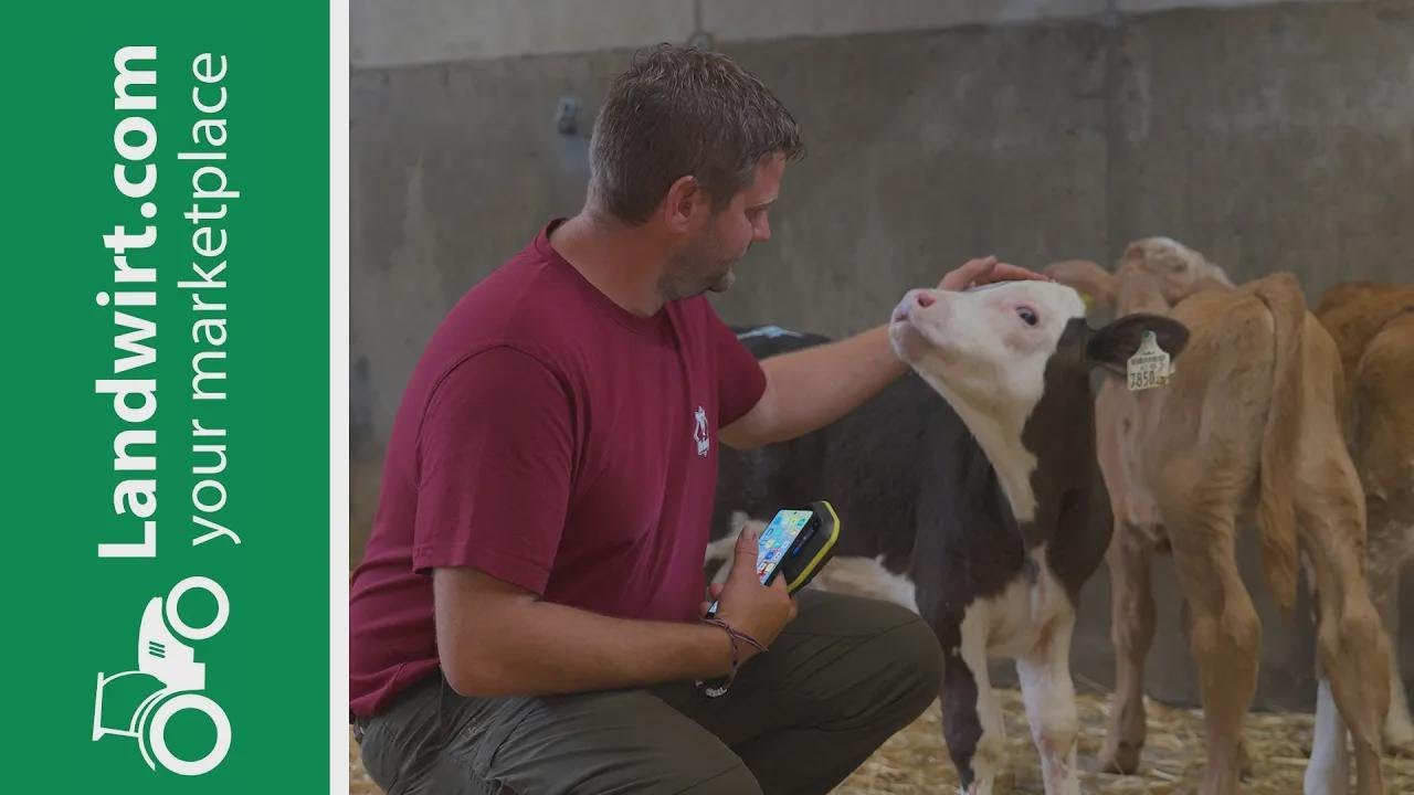 Registra tus becerros al instante con la solución digital de landwirt.com  landwirt.com