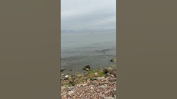 من أجمل تلاوات الشيخ وديع اليمني #islamicvideo #اكسبلور #المصحف #nature #الرحمن