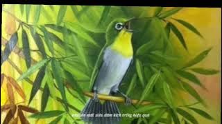 khuyên mái kích trống líu hiệu quả//The female ringed bird chirping effectively