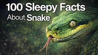 The Most Relaxing Facts About Snakes to Fall Asleep To screenshot 4