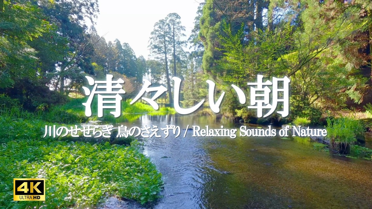 清々しい朝｜ストレス緩和、リラックス、ヨガ｜【4K Nature Sounds】