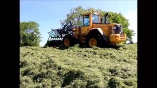 ProDig - Folding Grass Fork