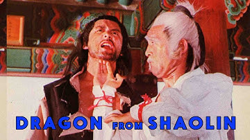 Wu Tang Collection - Dragon From Shaolin