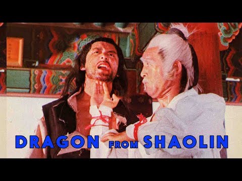 wu-tang-collection---dragon-from-shaolin