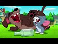 Tom &amp; Jerry 😺🐭| Just Cat &amp; Mouse Things | Cat and the Mouse Cartoon | Funny Cartoons | @cnindia