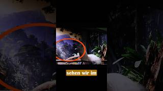 Kennst Du Diesen Verrückten Filmfehler Aus Harry Potter 1?