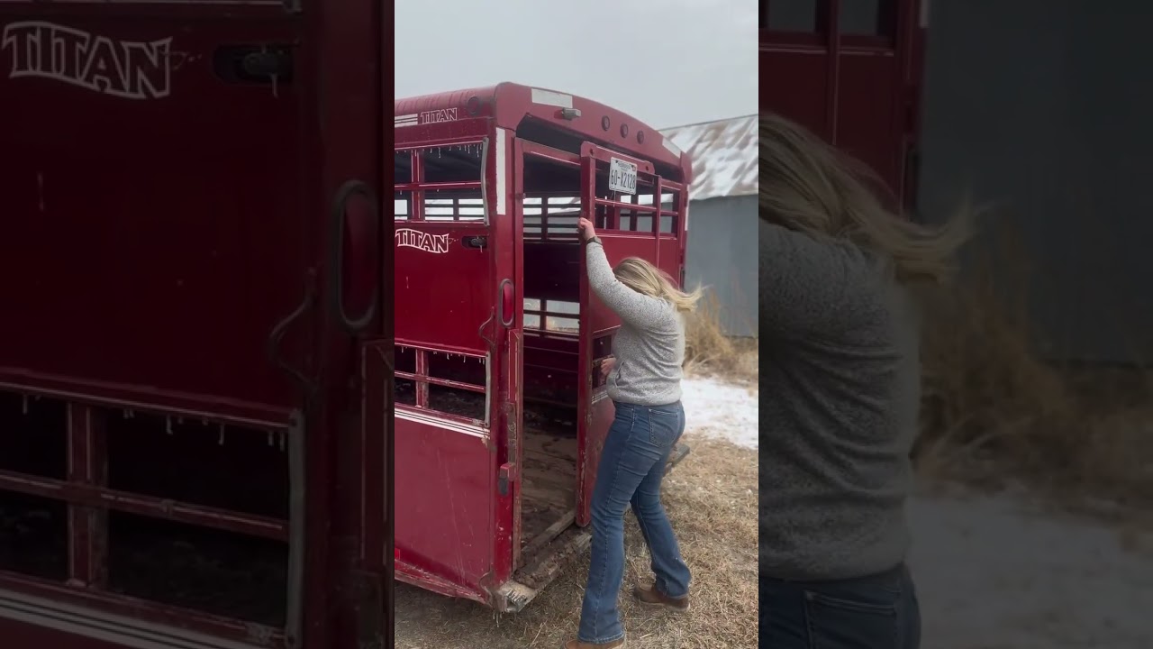 Sunrise farm routine, Boots on, work first,. 