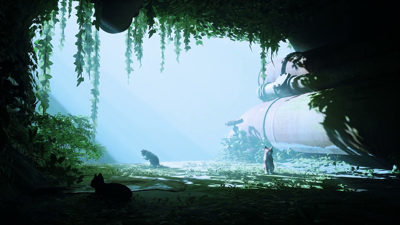 Stray │ ASMR / Sleep Aid │ Rain & Thunder ambience